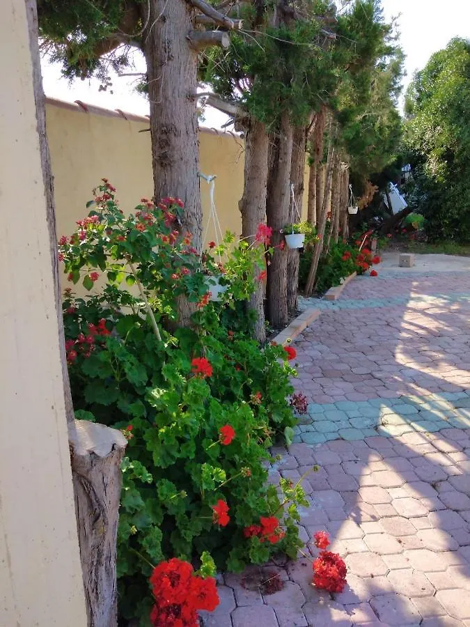 Apartment Appartamento In Orosei In Villa Delle Arance 300Mt Dalla Spiaggia Italy